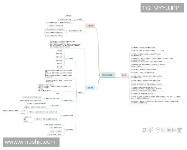 北京网球队进攻策略分析与效果评估探讨